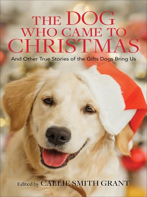 cover image of The Dog Who Came to Christmas